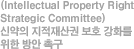 (Intellectual Property Right Strategic Committee)ž  ȣ ȭ   ˱